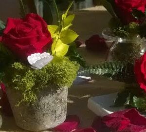 Flores Preservadas