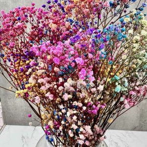 Ramo de Paniculata Rainbow Preservada
