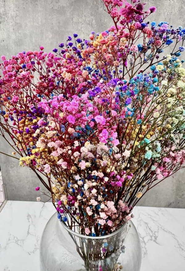 Ramo de Paniculata Rainbow Preservada
