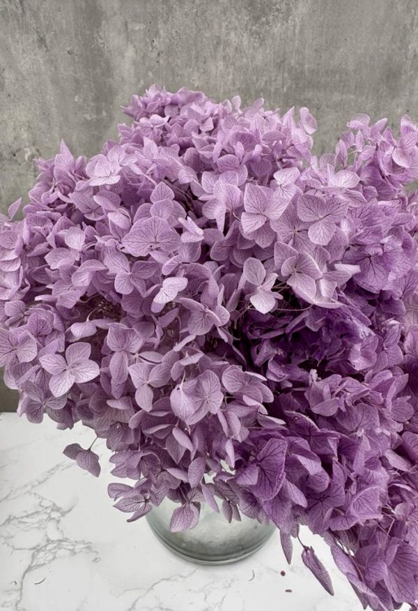 Hortensia Morada Preservada -