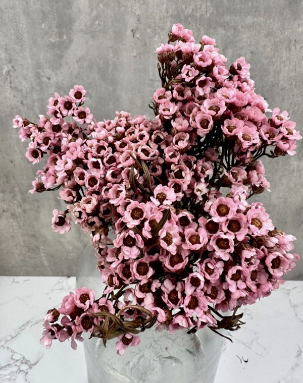 Margarita Rosa Preservada