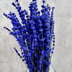 Lavanda Azul  Preservadas