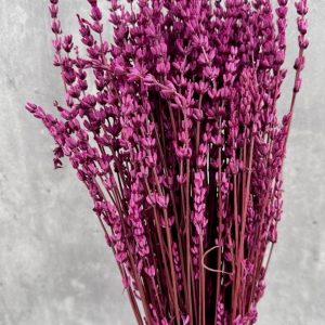 Lavanda Fucsia Preservada