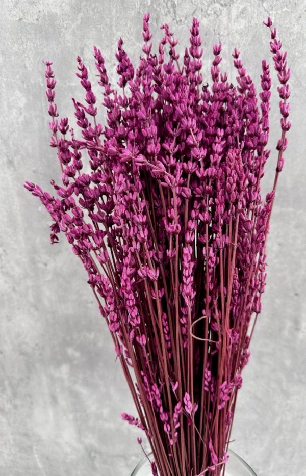 Lavanda Fucsia Preservada