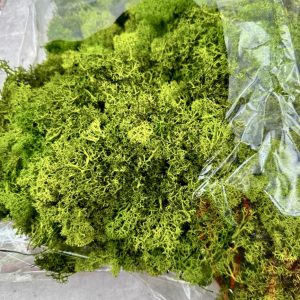 Musgo Finlandés Verde Preservado. (tarrina 250)