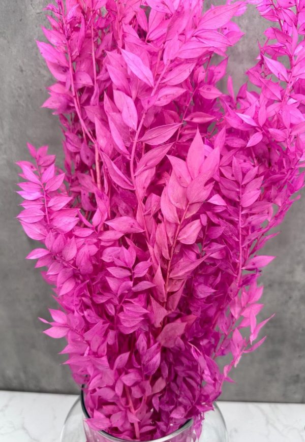 Ruscus Lila Preservado